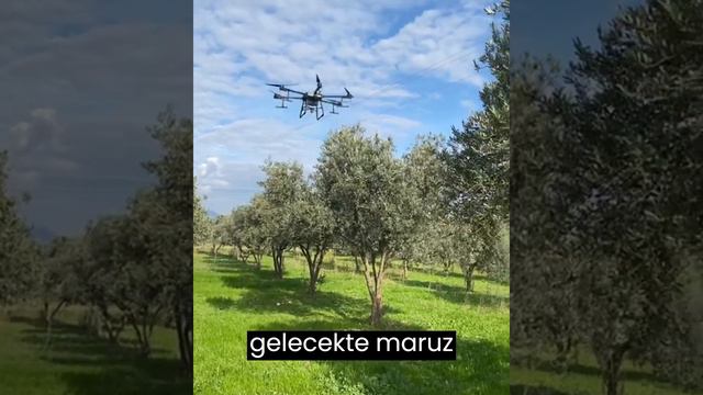 ÖDEMİŞ DRONE I BORDO BULAMACI NEDİR?