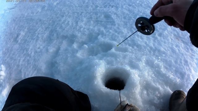 хорошая рыбалка на ладоге шальдиха смотреть онлайн