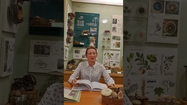 #shorts Условно съедобные грибы! Какое же это условие? смотреть онлайн