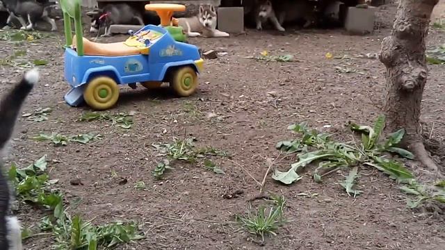 20170531 133050 смотреть онлайн