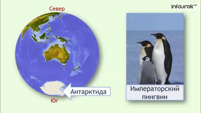 Материки смотреть онлайн