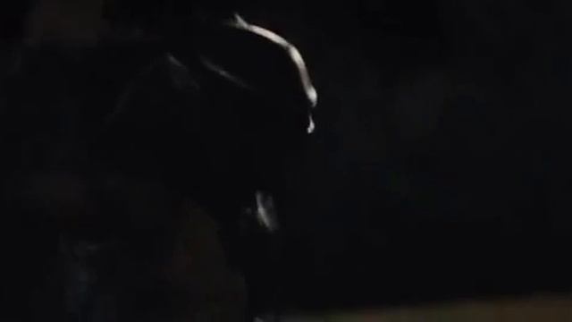 Predators Yakuza Vs Predator