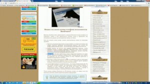 Как узнать номер телефона страницы Вконтакте?