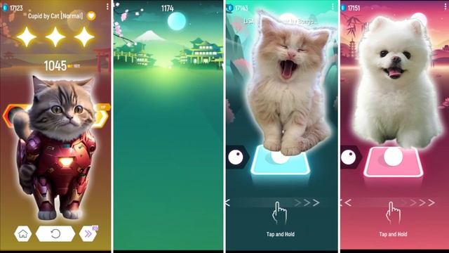 CUTE CAT CUPID VS CUTE DOG SHAKIRA WAKA WAKA VS CUTE CAT CUTE DOG BLACKPINK LISA MONEY & TILES HOP смотреть онлайн