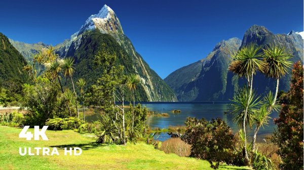 РАССЛАБЛЯЮЩИЕ ЗВУКИ И КРАСИВЫЕ ПЕЙЗАЖИ