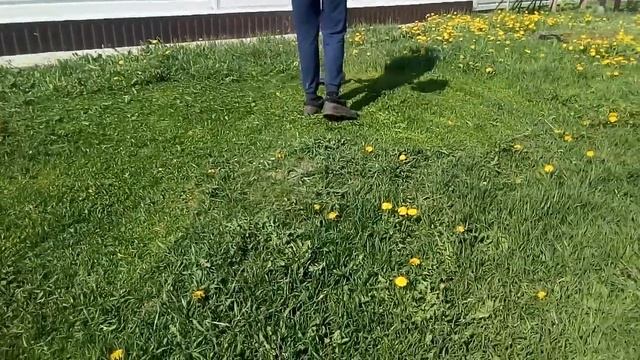 ПОКОС ТРАВЫ ТРИММЕРОМ HUTER GGT-1500T смотреть онлайн