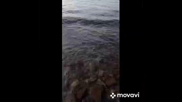 Отдых на Нушушском водохранилище. с Серебряной водой! Сюжет клиента нашей компании Раи Ц. смотреть онлайн