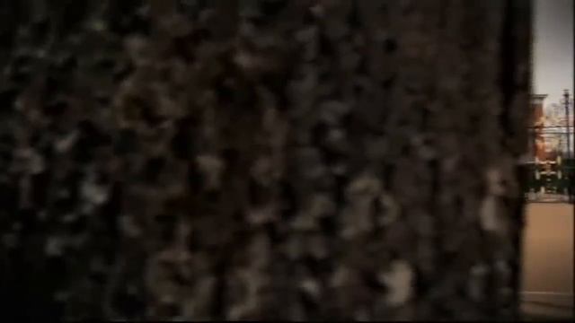 A Tale of Two Lives - Kate & William - 1/2 смотреть онлайн