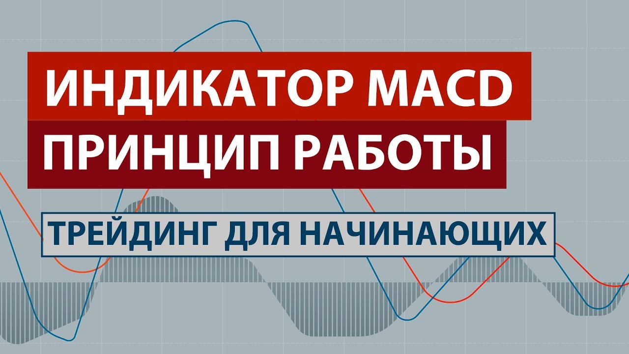 ИНДИКАТОР MACD - ПРИНЦИП РАБОТЫ / ДИВЕРГЕНЦИЯ / ТРЕЙДИНГ для НАЧИНАЮЩИХ смотреть онлайн