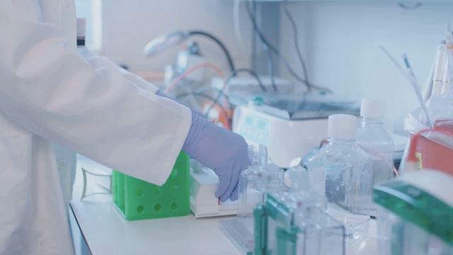 Unraveling Mysteries: Bizarre Discoveries Scientists Can't Explain