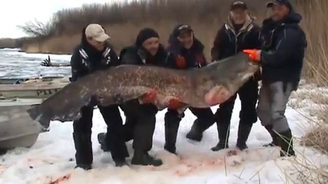 Монстры существуют! смотреть онлайн