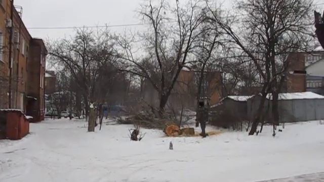 Падает дерево смотреть онлайн
