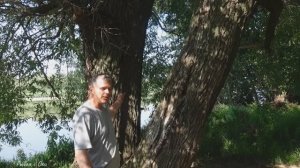 Отдых Семьей с ПАЛАТКАМИ где Вековые ИВЫ на ОКЕ!