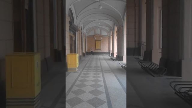 Сонечка- весна 2019г.