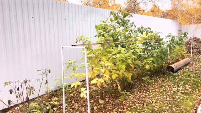 Как нам шпалера, которую мы сделали в этом году? Отзыв | Дачный влог смотреть онлайн