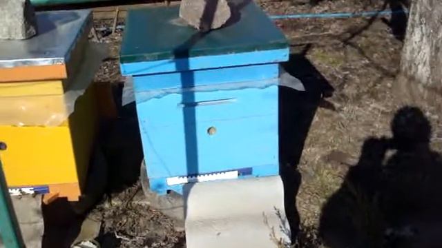облет после осмотра смотреть онлайн