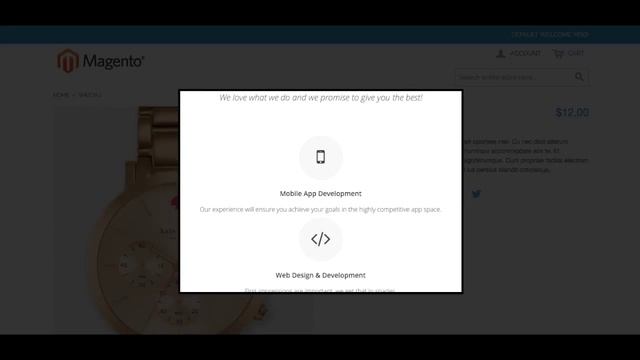 Magento Popup Builder смотреть онлайн