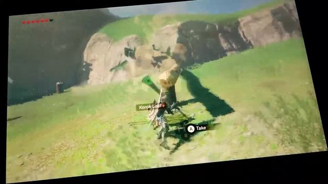 Techniki ścinania sosny смотреть онлайн