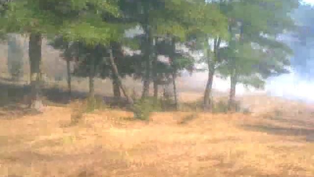 Горящий лес