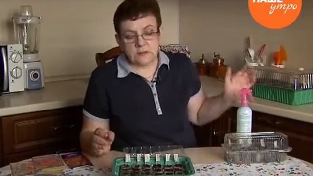 Как высаживать петуньи смотреть онлайн