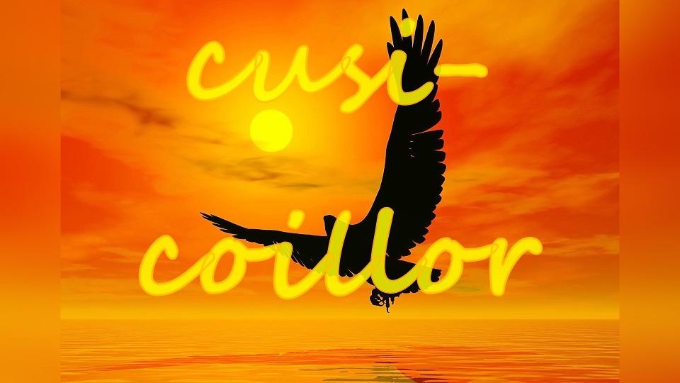 Cusi_Coillor смотреть онлайн