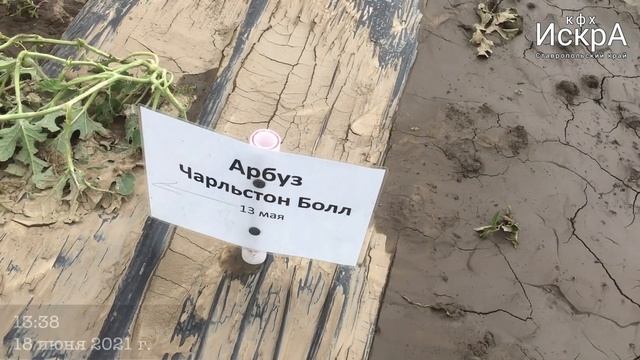 Град. Семь минут и можно начинать сначала! смотреть онлайн