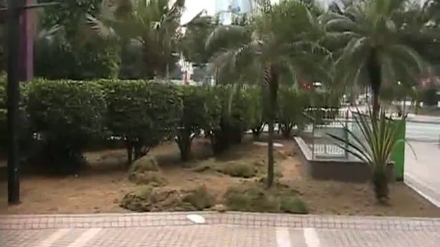 Небоскребы в китайском Новосибирске смотреть онлайн