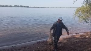 АКТИВНЫЙ КЛЁВ КАРАСЯ, САЗАНА на ДОНКУ! Ловим по уходящей воде в июне.