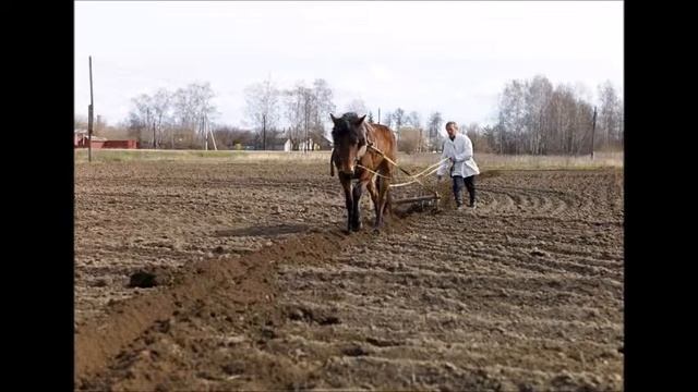 новая америка смотреть онлайн