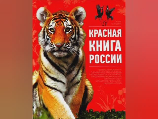 Экологический урок: детям о Красной книге смотреть онлайн