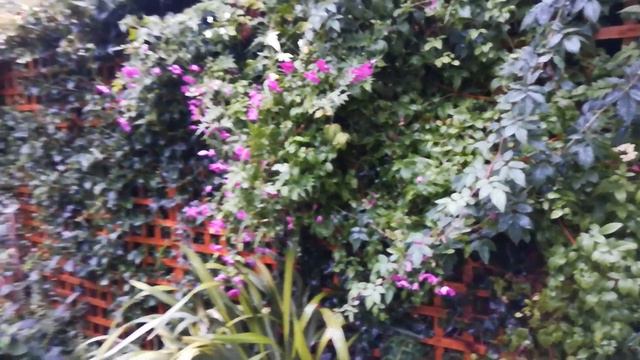 291. АНГЛИЯ: Жара в Лондоне. Перевалило за 40! Что делать? смотреть онлайн