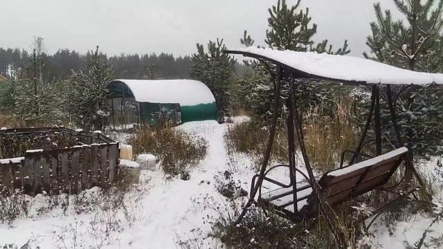 Как понять, что птице холодно? смотреть онлайн