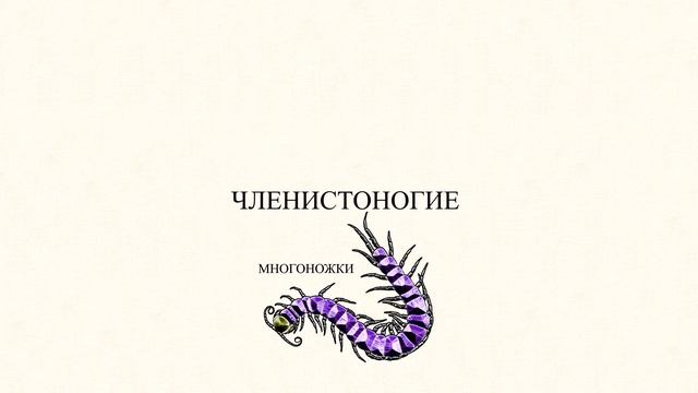 Введение в энтомологию смотреть онлайн