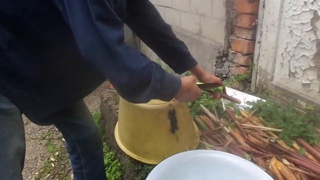 Как готовить бамбук - полезнейший продукт смотреть онлайн