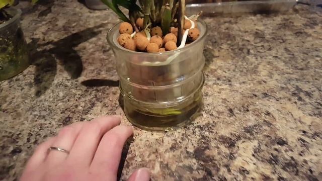 Semi Hydro after 6 months. Part 1 смотреть онлайн