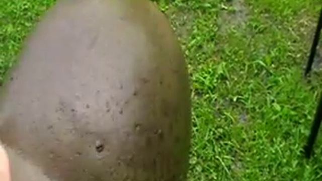 Копаные каски,переноски после чистки в щавелевой. WW2 Military archeology смотреть онлайн