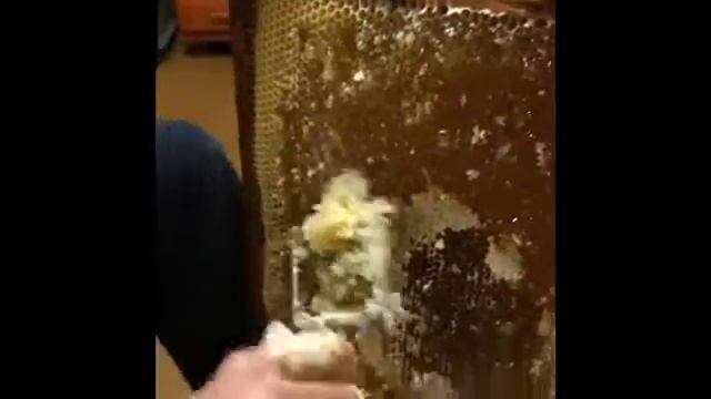 Стоит ли покупать распечатку сотов 