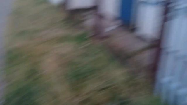 НАХОДЧИВЫЙ КОТ "БЭТМЕН"САМ НАШЕЛСЯ \/ЗАЛЕЗ ПРЯМО НА СТОЛБ ГДЕ ОБЪЯВЛЕНИЕ О ПРОПАЖЕ)) смотреть онлайн