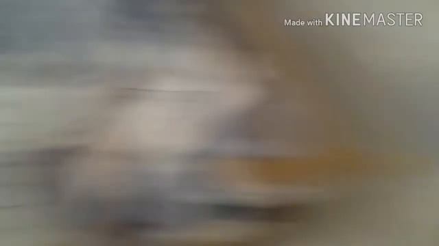 Мое первое видео через телефон (не советую) смотреть онлайн