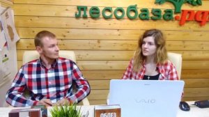 Какой укрывной краской покрасить дешевый сорт доски, чтобы не было сучков?