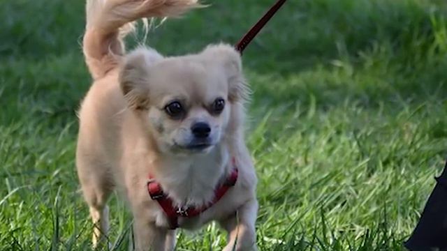 Sity Story смотреть онлайн