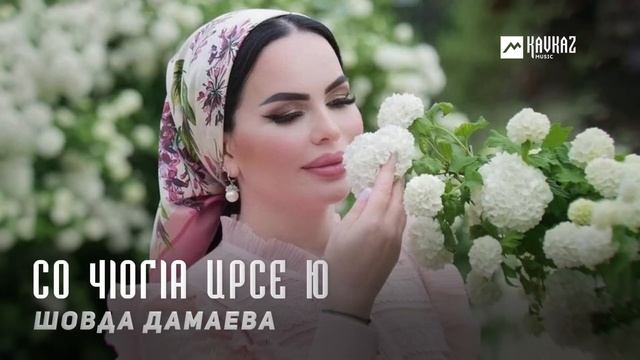 Шовда Дамаева - Со чlогlа ирсе ю | KAVKAZ MUSIC CHECHNYA смотреть онлайн