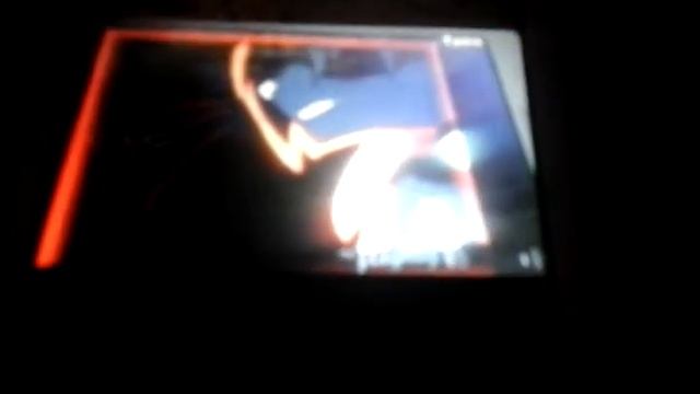 Коты-воители Бич. Черная кошка