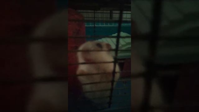 джуне не нравится его жизнь смотреть онлайн