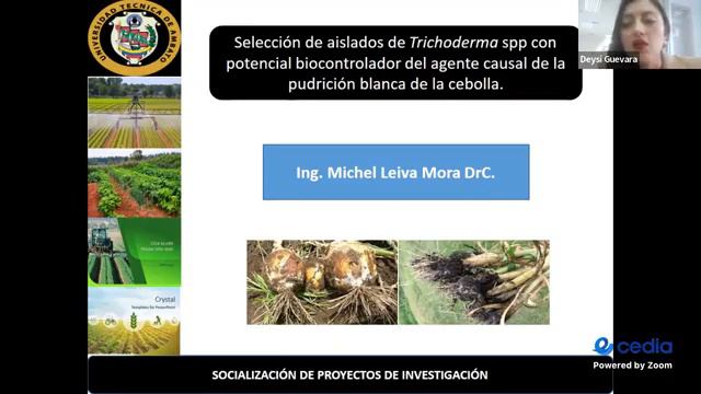 DIFUSIÓN CIENTÍFICA Y TECNOLÓGICA DE PROYECTOS DE INVESTIGACIÓN DIDE 2023 смотреть онлайн