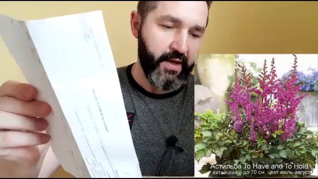 11 сортов Астильбы: обзор посылки из магазина "Ситцевый сад" смотреть онлайн