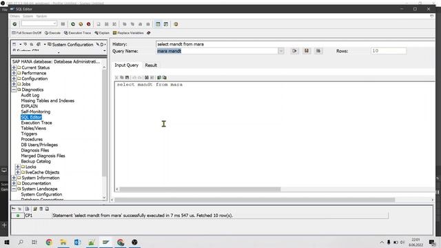 How to Run SQL Queries Directly on SAP Database Tables смотреть онлайн