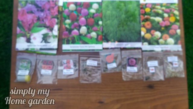 Summer Flowering Plants Seeds