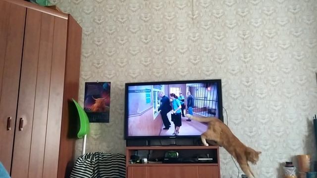 Сергей Николаевич