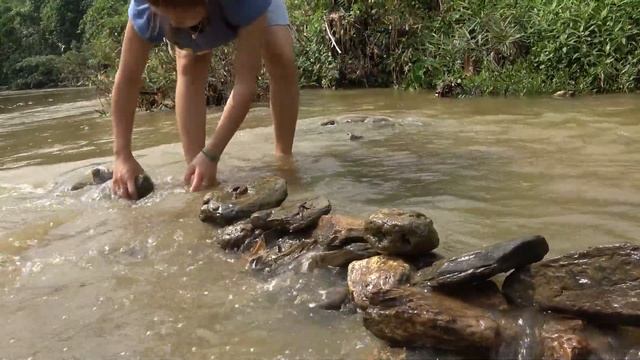 Solo Bushcraft - Hunting wild fish, creating a net system to catch stream fish, Wild survival смотреть онлайн